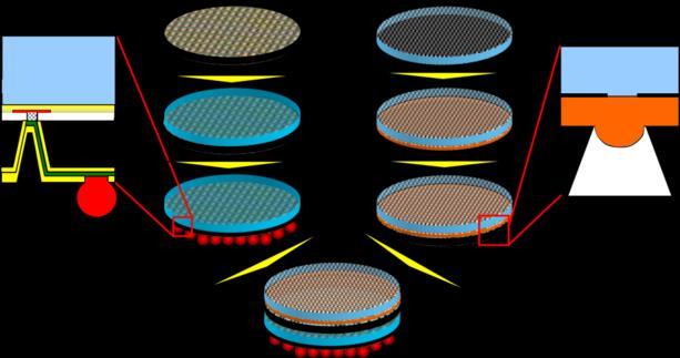 chip with microoptical lenses MEMS