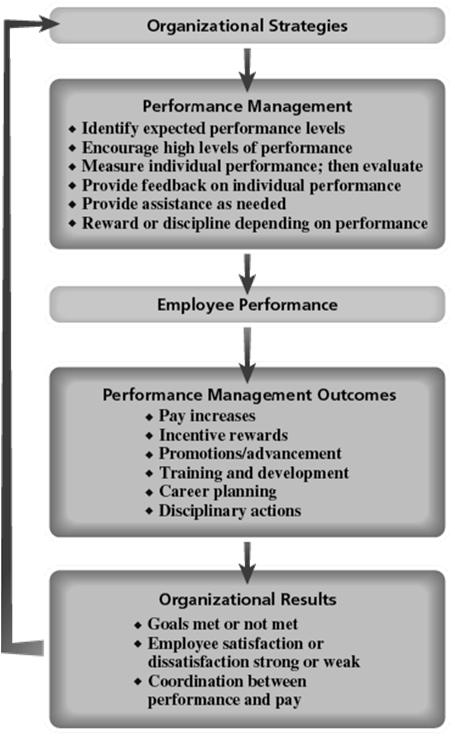 Nature of Performance Management Performance Management Processes used to identify, encourage, measure, evaluate, improve, and reward employee performance Provide information to employees about their
