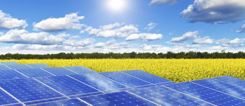 A DYNAMIC RENEWABLE ENERGY MARKET Renewable energy has experienced dramatic growth in the past decade, and shows no signs of slowing down as sensitivity to climate change and extreme weather events,