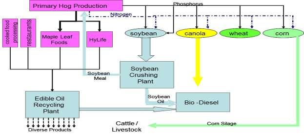 A LITTLE BACKGROUND Soybean processing plants convert soybeans into meal/hulls (~79-80%) 1, soybean oil (~19-20%) and soap/ lecithin/dockage (~1-2%) 2.