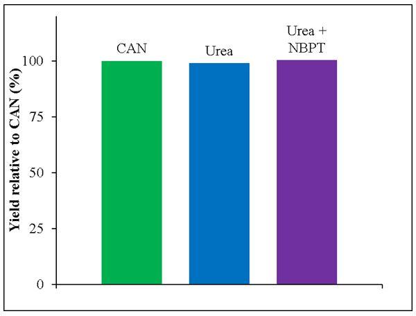 Figure 6. Relative yield of Urea and Urea + NBPT compared to CAN (set at 100%) across 6 grassland sites, 5 N rates and 30 fertiliser applications dates. Table 2.