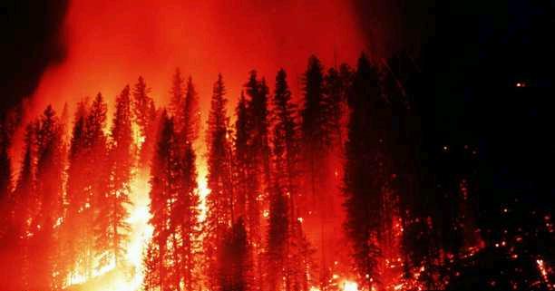 Biogenics Geogenics Wildfires