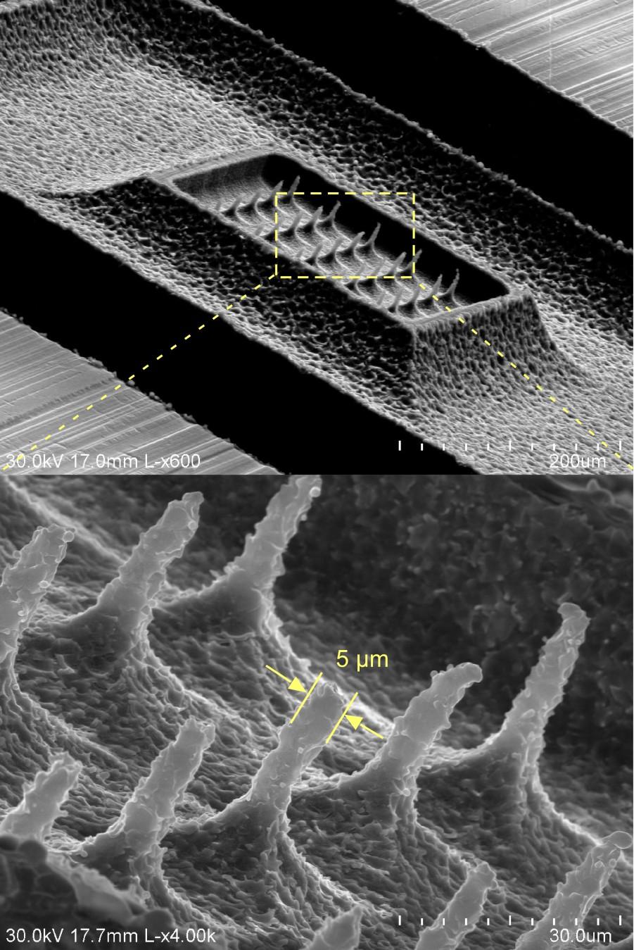 Figure 4.12: SEM image of a fabricated 5 5 stainless steel micro-tool array (unreleased).