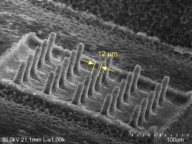 13: SEM image of a fabricated 5 5 stainless steel micro-tool array (unreleased).