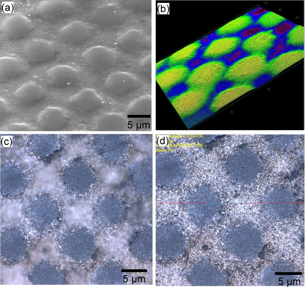 Figure 4.23: Optical and SEM images of cross patterns transferred to a fused silica substrate using 2-µm lateral size tools. (a) SEM image of the patterns.
