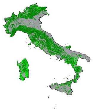 ABOUT THE ITALIAN FORESTS INVENTORY DATA 2007 2 National Forest Inventory (IFNC) may 2007 10,4 M ha total forest (8,7 M ha forest, 1,7 other wooded land) Land coverage 34%); 2/3 above