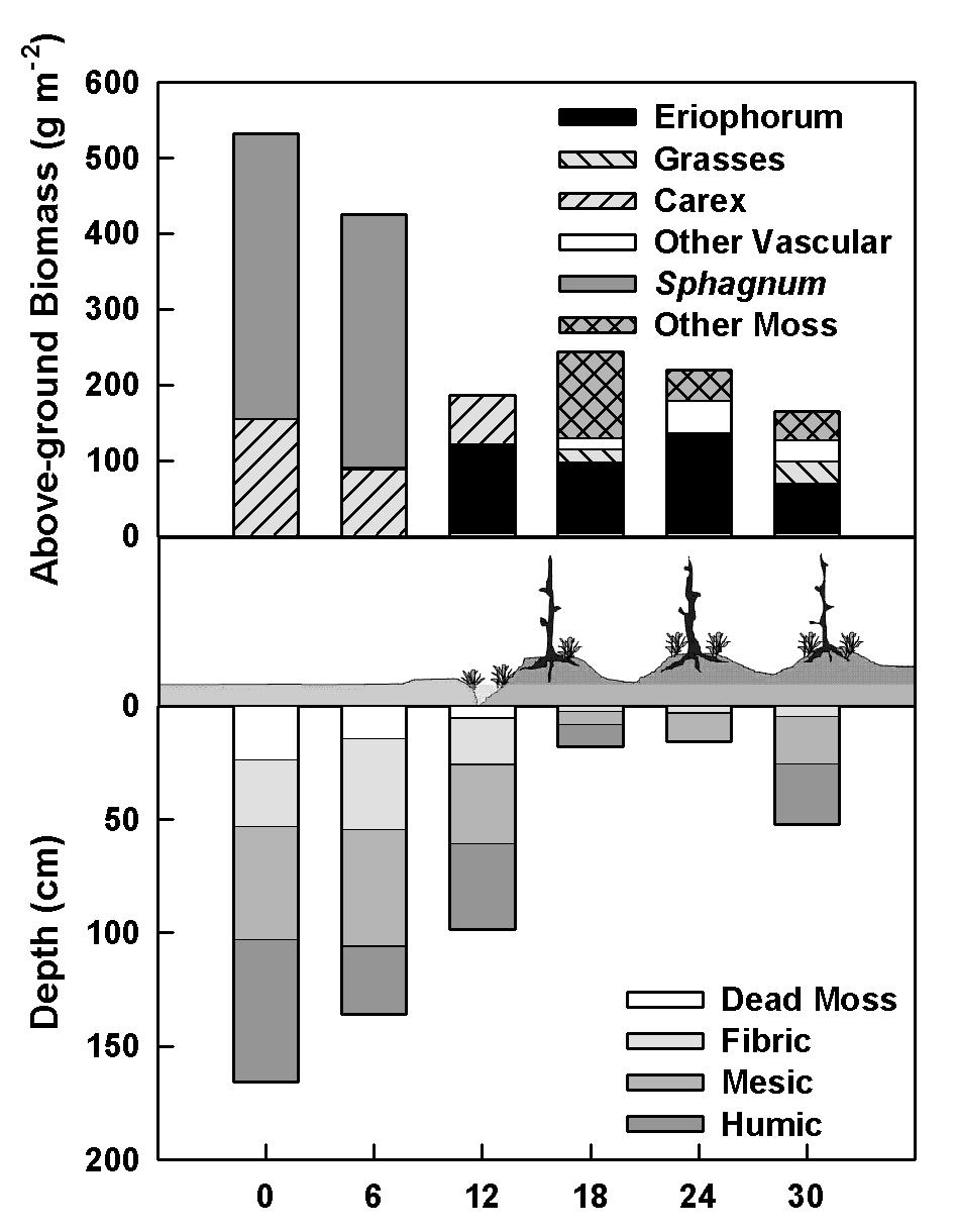 28 Figure 2. Biomass and soils across the transect.