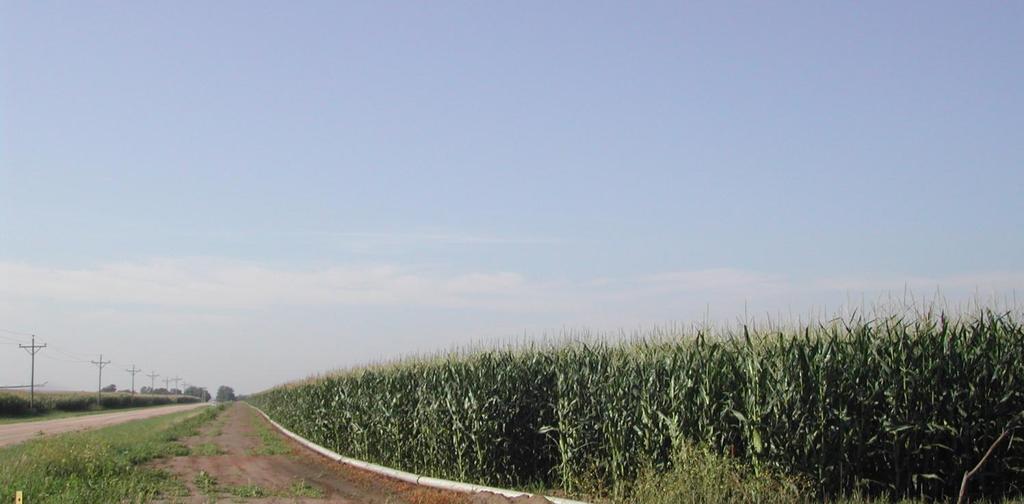 Hybrid Development Corn hybrid development in the U.S. still occurs in 30-inch rows.