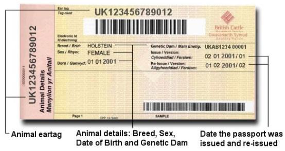 3. Regulation (EC) No 1760/2000 of the European Parliament and the Council for the identification and registration of bovine animals Passports: One bovine, one passport Within 14 days after