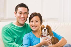 relationships Veterinarians Limited