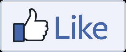 Facebook Social Plugins Like Button: The Like button is the quickest way for people to share content with their friends.