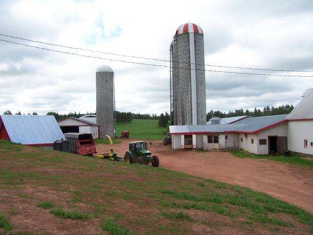 I. Introduction According to the 2006 farm census by Statistics Canada, there were 360 dairy farms in PEI, down from 435 in the 2001 census.