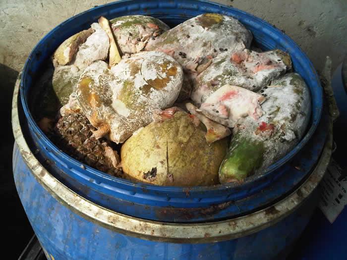 The Ketu fruit market generates over 5 tons of fruit waste daily.