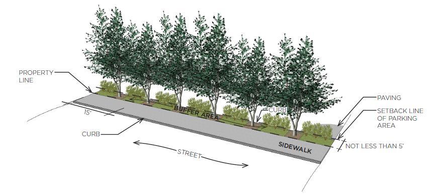 groundcover or shrubs covering at least 50% of the area of the buffer along each street frontage.