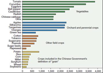 China s food security policy approach Net cash returns per acre by product ($/acre), 2006 Grain subsidy protected farmers benefit from the grain price