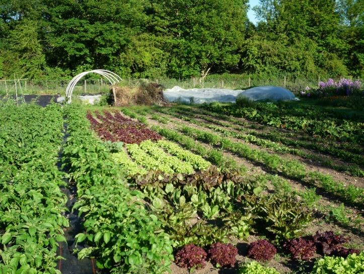 Sustainable Agriculture There are many specific practices that can be incorporated into a sustainable farm, but the common thread is that these farmers embrace farming practices that mimic natural