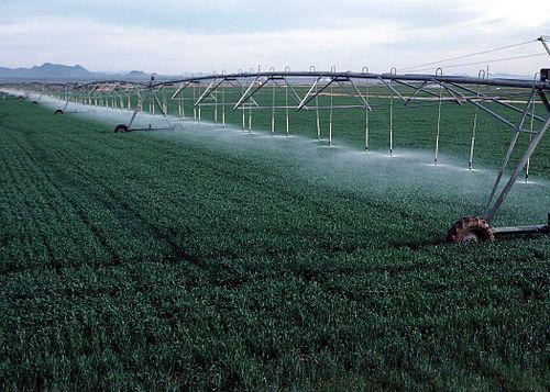 Water Protection Agriculture use accounts for over 80% of the water used in the U.S.