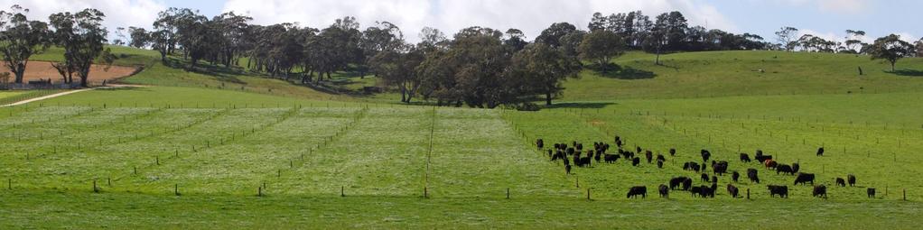 Rotational Grazing In rotational grazing, animals graze on one portion of a pasture (called a paddock) while allowing the other portions of the pasture
