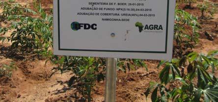 It was prepared by Latha Nagarajan, Agricultural Economist for IFDC, supported by the IFDC Mozambique Country Team comprised of Alexander