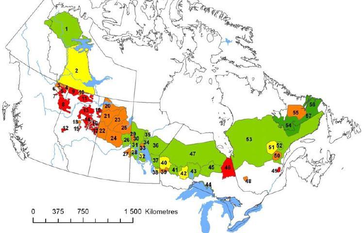 Integrated risk assessment for Boreal Caribou
