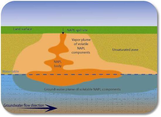 LNAPL in the Subsurface v Vadose Zone Volatilization Sorbed to soil Residual phase (immobile) Dissolution v Saturated Zone (capillary fringe/ water table)