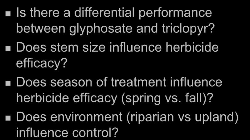 Research Questions Is there a differential performance between glyphosate and triclopyr?