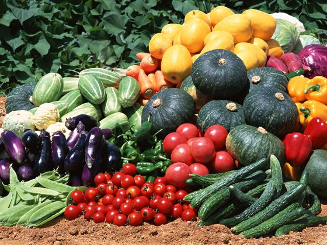 Standards for the growing, harvesting, packing, and holding of produce for human consumption Section 105 > Directed FDA to set science-based standards for the safe production and harvesting of fruits
