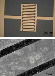 Micro-GC nanotube sensor array