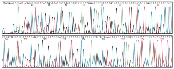 55 7.3 Few words on ESTs Large set of expressed cdna partially sequenced 200-500nt Over 3 million