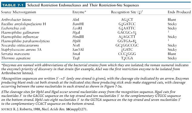7.1 Selected restriction enzymes Site for cutting Length of recognition site Blunt/sticky Modification sensitivity