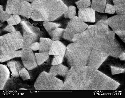 A B Figure : - An SEM micrograph of a sample of BC N. Tungsten Carbide consists of hard grains of Tungsten Carbide (A) surrounded by a sea of soft metal, which is usually Ni or Co.