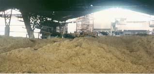 Biomass fuels characteristics Rice husk Sector Residues Moisture Content (% dry