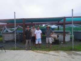 The shrimp broodstock and pond production were in operation during the visit.