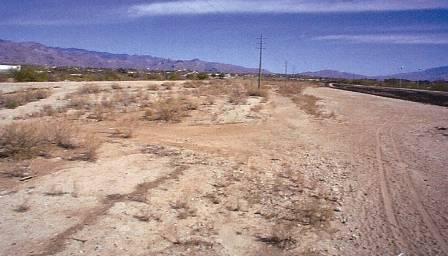 Study May 2004) View of Rillito River from