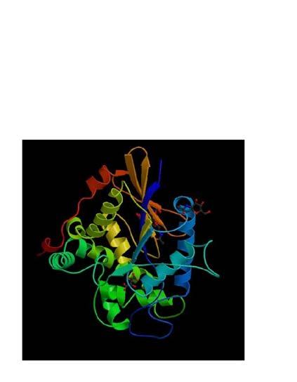 Protein Structure Comparison What are