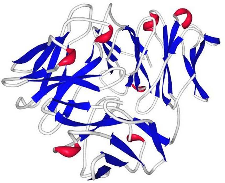 PROTEIN 7FAB 50 Motif RP RP for SSC RP for SST RP for MDM 40 30 20 z 10 0-10 -20-60 -40-20 x 0 20 40 20 y 0-20 The protein contains 46 Secondary
