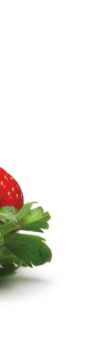 Collected from Supply Chain Stages for Southern California SUPPLY CHAIN STAGE Grower Support Grower Packaging Precooling Processing Storage/Shipper Shipper THE IMPORTANCE IN THE STRAWBERRY INDUSTRY