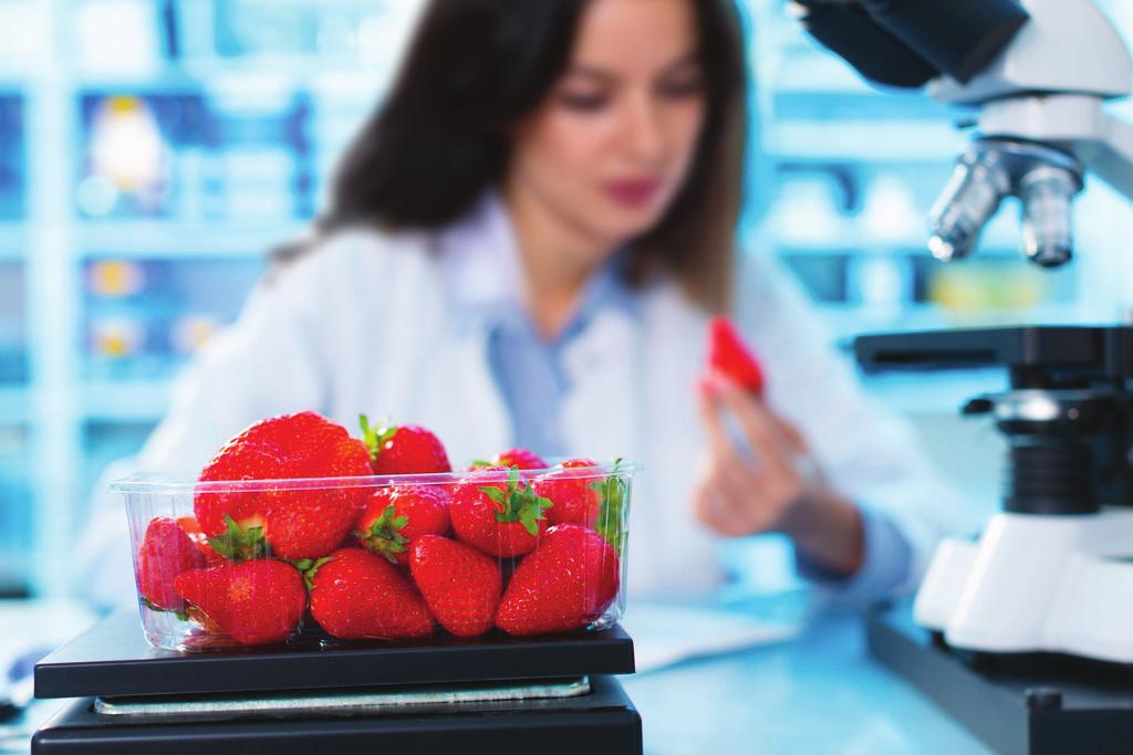 The industry hires as many female workers as male workers LABOR ANALYSIS OF THE SUPPLY CHAIN IN THE STRAWBERRY INDUSTRY Packaging and processing companies in Southern California have large numbers of