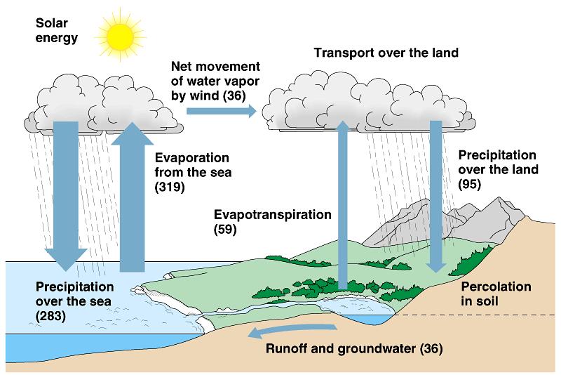 The water cycle is mostly a physical process