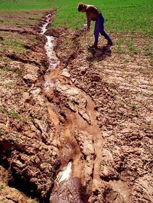 Land Resource Depletion What happening? Plowing removes the roots that hold the soil in place, increasing the rate of soil erosion.