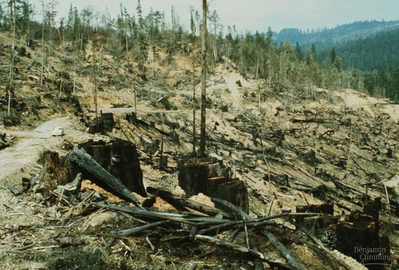 Land Resource Depletion Deforestation -