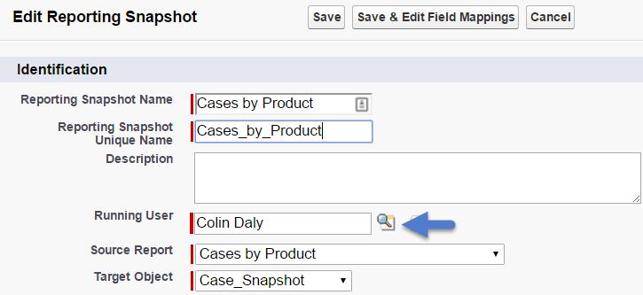 Choose a user in the Running User field by clicking the lookup icon. The user in the Running User field determines the source report's level of access to data.