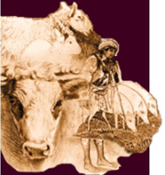 Impact of alternative feeding strategies on milk, manure and methane production (% change) (Bryan et al in press) District Scenario Milk production Manure production Garissa Gem Mbeere Njoro