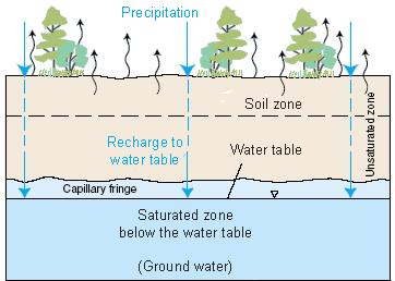 The water flowing through the vegetation reduces the velocity of the flowing and this will provide time to the ground to absorb the water.