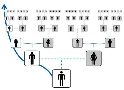 Y DNA 31 Y-DNA Testing Y-STR tests estimate the paternal haplogroup, while Y-SNP tests definitively determine the paternal haplogroup.