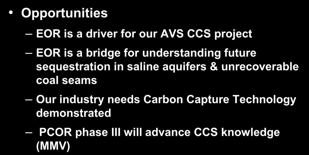 Carbon Capture & Storage Opportunities EOR is a driver for our AVS CCS project EOR is a bridge for understanding future sequestration in