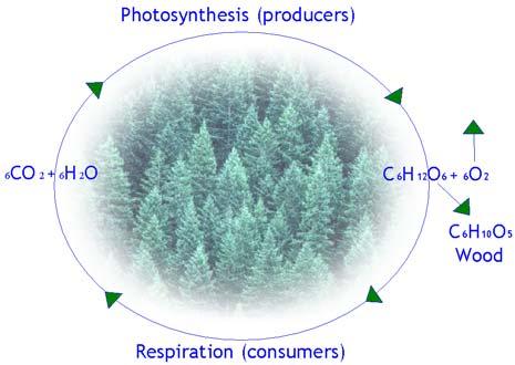 Photosynthesis: CO 2 + H 2 O + energy = (CH 2 O) + O
