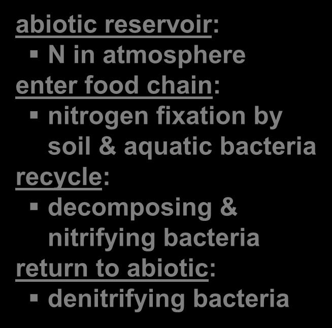 bacteria return to abiotic: denitrifying bacteria Atmospheric nitrogen Birds Plankton