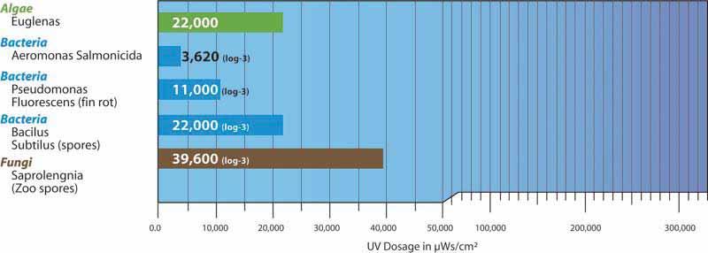 Prerequisites of Successful UV Disinfection.