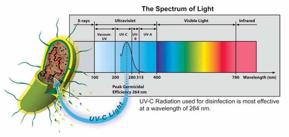 Prerequisites of Successful UV Disinfection (continued).